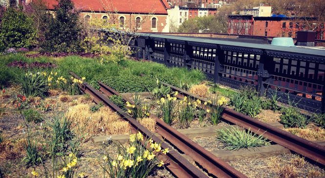 Urban Sustainability